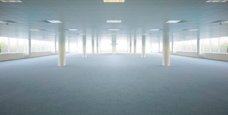 Half of project managers will be independent workers by 2020!